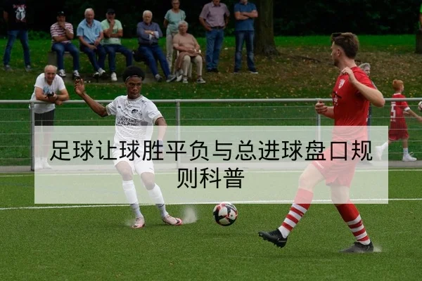 西甲球队伤病名单与复出进度动态